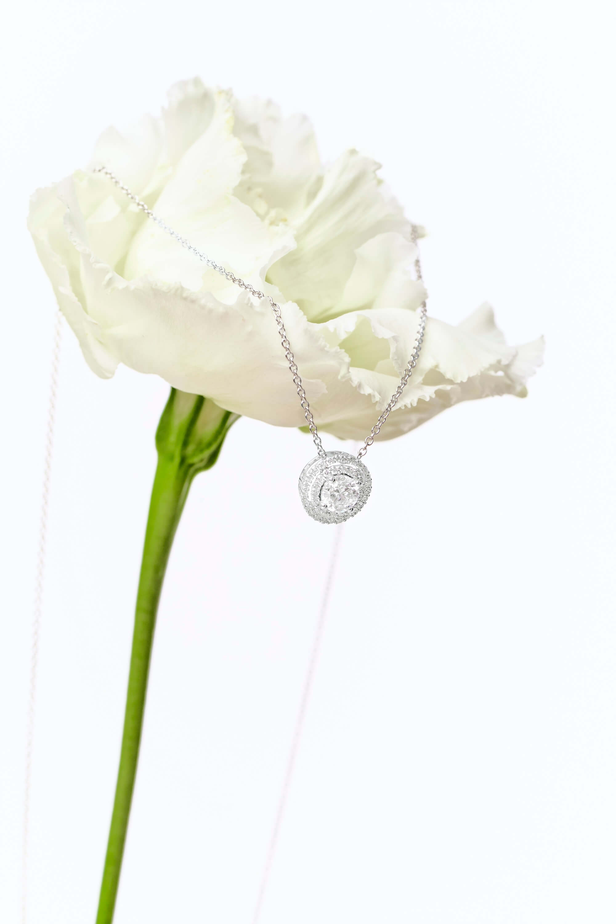 Diamond Double Halo Pendant Necklace